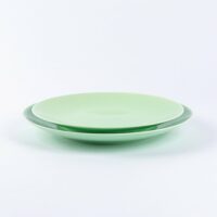 Duo assiettes ronde en porcelaine verte française