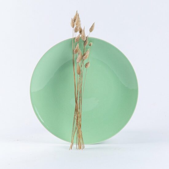 Assiette ronde en porcelaine verte française. 25cm
