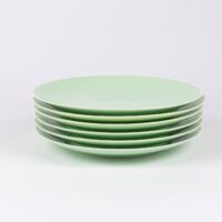 Pack-de-6-assiettes-rondes-en-porcelaine-verte-française-25cm