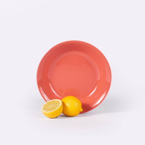 assiette creuse terracotta & citron