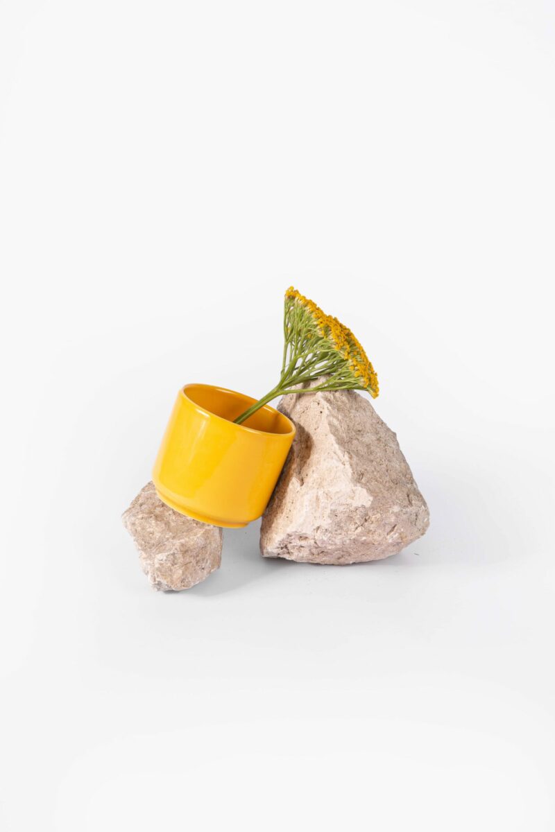 mug-a-cafe-et-the-jaune-moutarde-cache-pot-fleur
