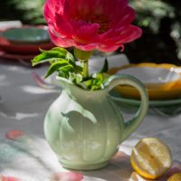 Le pichet Melon - Porcelaine Verte – Image 6