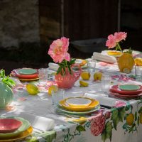 vaisselle-en-porcelaine-francaise-min